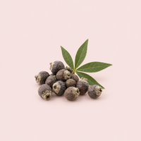 Chasteberry (Vitex)